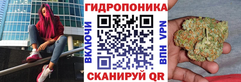 Купить закладку COCAIN  Альфа ПВП  Амфетамин  ГАШИШ  Каннабис  МЕФ  Ногинск