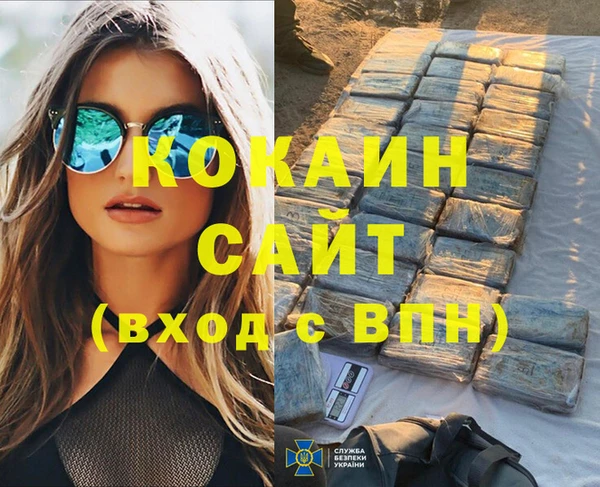 дживик Новозыбков