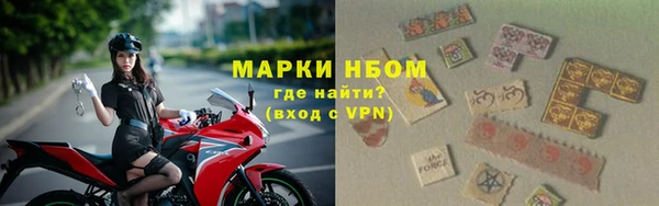 дживик Новозыбков