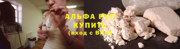 дживик Новозыбков