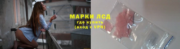 дживик Новозыбков