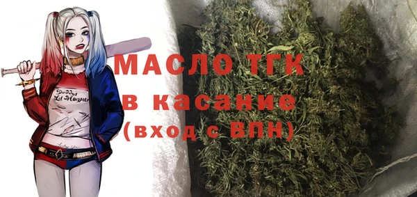 дживик Новозыбков