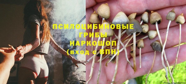 гашиш Новодвинск