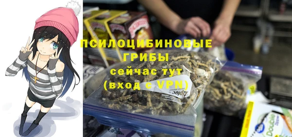 гашиш Новодвинск