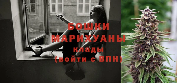 дживик Новозыбков
