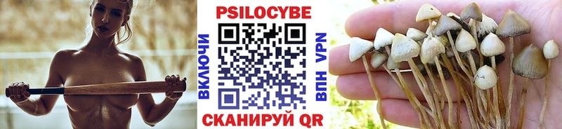 Псилоцибиновые грибы Psilocybine cubensis  Купить закладки  Ногинск 