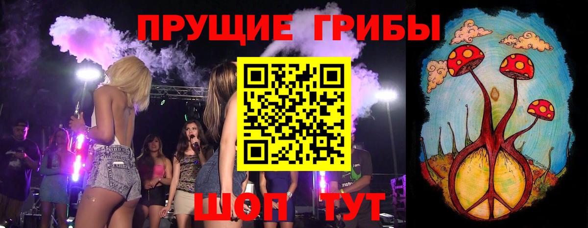 Псилоцибиновые грибы MAGIC MUSHROOMS  Вход с VPN  сколько стоит  Ногинск 