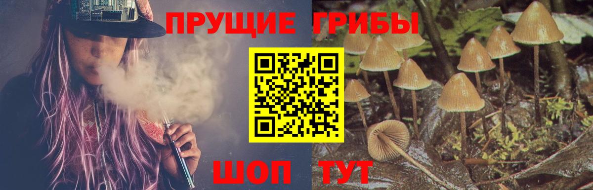 Псилоцибиновые грибы Psilocybe  Галлюциногенные грибы Cubensis  Ногинск 