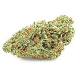 Шишки OG Kush  (Гидропоника, бошки) VHQ в Ногинске
